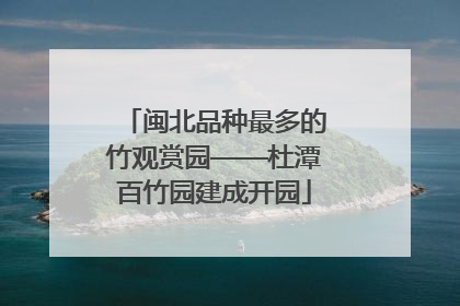 闽北品种最多的竹观赏园——杜潭百竹园建成开园