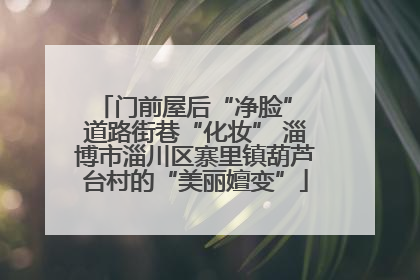 门前屋后“净脸” 道路街巷“化妆” 淄博市淄川区寨里镇葫芦台村的“美丽嬗变”