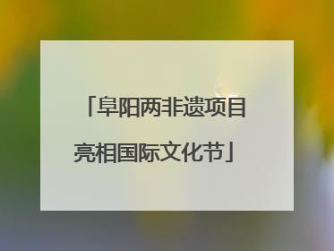 阜阳两非遗项目亮相国际文化节