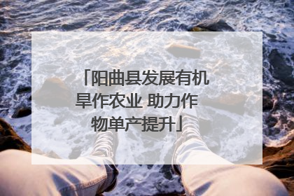 阳曲县发展有机旱作农业 助力作物单产提升
