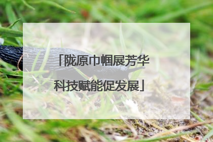 陇原巾帼展芳华 科技赋能促发展