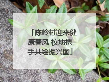 陈岭村迎来健康春风 校地携手共绘振兴图