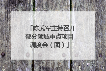 陈武军主持召开部分领域重点项目调度会（图）