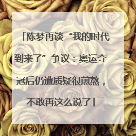 陈梦再谈“我的时代到来了”争议：奥运夺冠后仍遭质疑很煎熬，不敢再这么说了