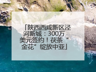 陕西西咸新区泾河新城：300万美元签约！茯茶“金花”绽放中亚