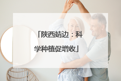 陕西靖边：科学种植促增收