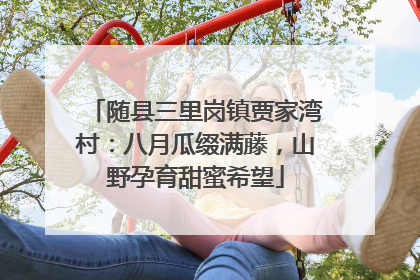 随县三里岗镇贾家湾村：八月瓜缀满藤，山野孕育甜蜜希望