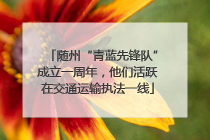 随州“青蓝先锋队”成立一周年，他们活跃在交通运输执法一线