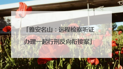 雅安名山：远程检察听证 办理一起行刑反向衔接案