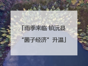 雨季来临 镇沅县“菌子经济”升温