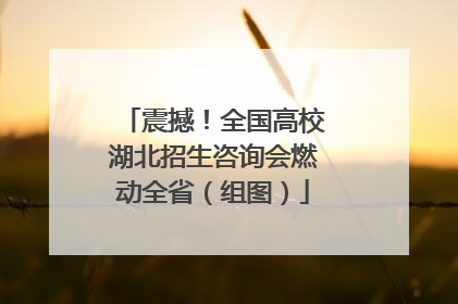 震撼！全国高校湖北招生咨询会燃动全省（组图）