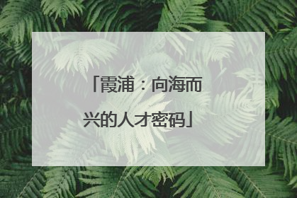 霞浦：向海而兴的人才密码