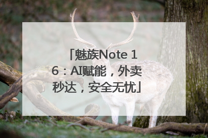魅族Note 16：AI赋能，外卖秒达，安全无忧