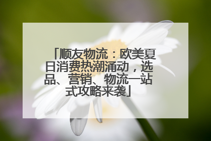 顺友物流：欧美夏日消费热潮涌动，选品、营销、物流一站式攻略来袭