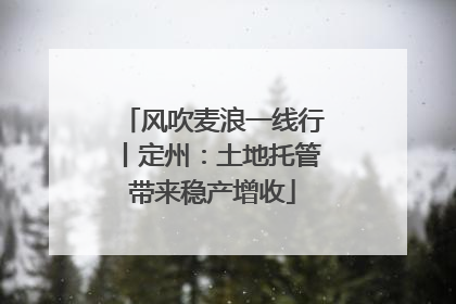 风吹麦浪一线行丨定州：土地托管带来稳产增收