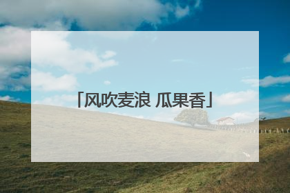 风吹麦浪 瓜果香