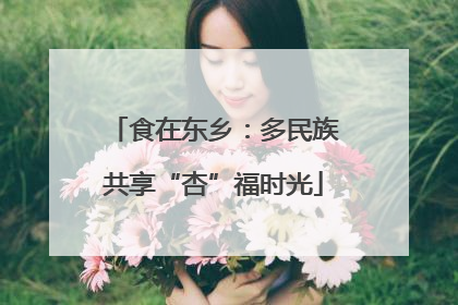 食在东乡：多民族共享“杏”福时光