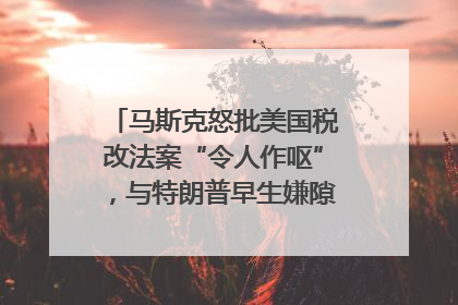 马斯克怒批美国税改法案“令人作呕”，与特朗普早生嫌隙？｜国际识局
