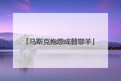 马斯克抱怨成替罪羊