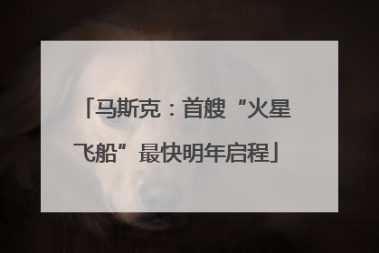 马斯克：首艘“火星飞船”最快明年启程