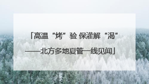 高温“烤”验 保灌解“渴”——北方多地夏管一线见闻