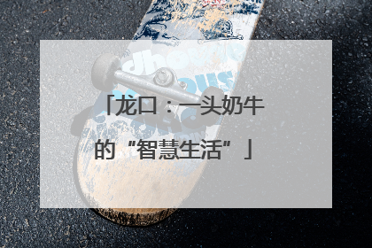 龙口：一头奶牛的“智慧生活”