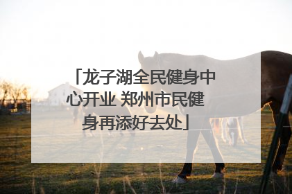 龙子湖全民健身中心开业 郑州市民健身再添好去处