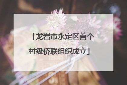龙岩市永定区首个村级侨联组织成立