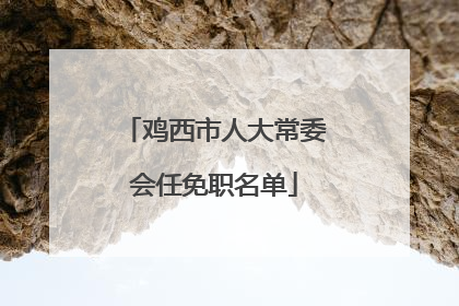 鸡西市人大常委会任免职名单