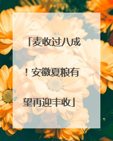 麦收过八成！安徽夏粮有望再迎丰收