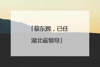 黎东辉，已任湖北省领导