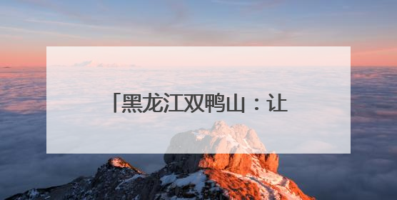黑龙江双鸭山：让“绿字号”从寒地黑土挺进大市场