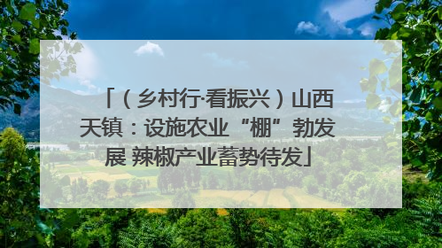 （乡村行·看振兴）山西天镇：设施农业“棚”勃发展 辣椒产业蓄势待发