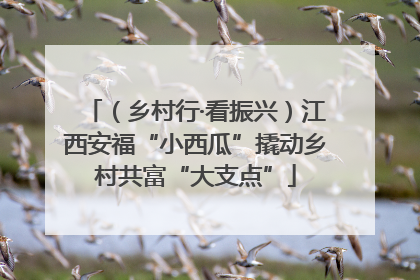 （乡村行·看振兴）江西安福“小西瓜”撬动乡村共富“大支点”