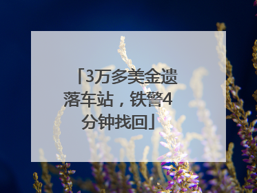 3万多美金遗落车站，铁警4分钟找回