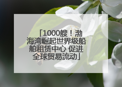 1000艘！渤海湾崛起世界级船舶租赁中心 促进全球贸易流动
