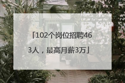 102个岗位招聘463人，最高月薪3万