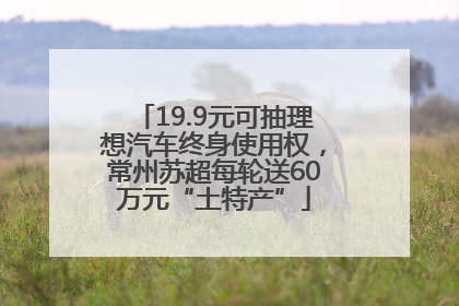19.9元可抽理想汽车终身使用权，常州苏超每轮送60万元“土特产”