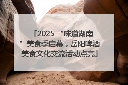 2025 “味道湖南”美食季启幕，岳阳啤酒美食文化交流活动点亮