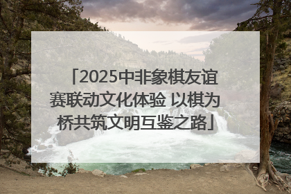 2025中非象棋友谊赛联动文化体验 以棋为桥共筑文明互鉴之路