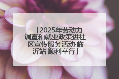2025年劳动力调查和就业政策进社区宣传服务活动·临沂站 顺利举行