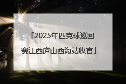 2025年匹克球巡回赛江西庐山西海站收官