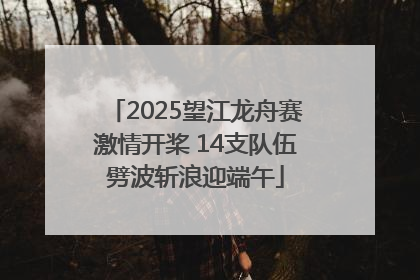 2025望江龙舟赛激情开桨 14支队伍劈波斩浪迎端午
