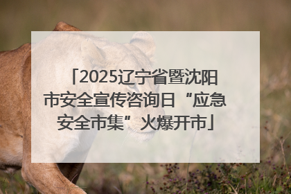 2025辽宁省暨沈阳市安全宣传咨询日“应急安全市集”火爆开市