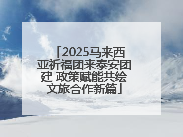 2025马来西亚祈福团来泰安团建 政策赋能共绘文旅合作新篇