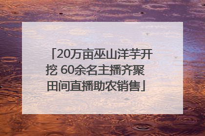 20万亩巫山洋芋开挖 60余名主播齐聚田间直播助农销售