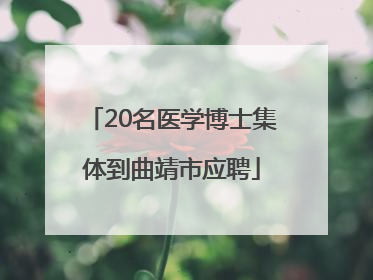 20名医学博士集体到曲靖市应聘