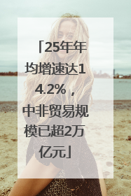 25年年均增速达14.2%，中非贸易规模已超2万亿元