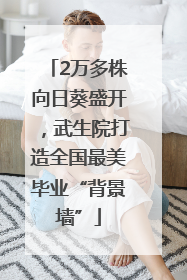 2万多株向日葵盛开，武生院打造全国最美毕业“背景墙”
