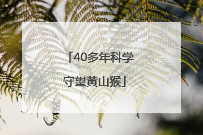 40多年科学守望黄山猴